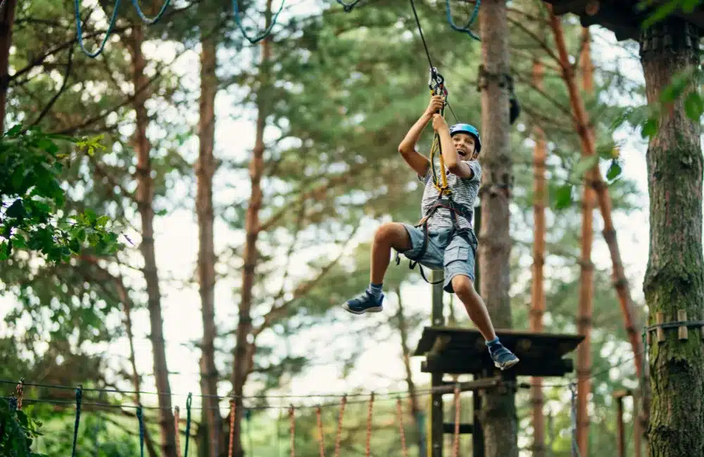 เล่น Zip Line ในป่า